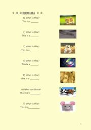 English Worksheet: anmals