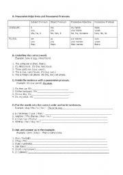 English Worksheet: Possessive Adjectives and Possessive Pronouns