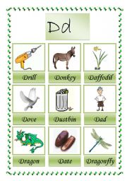 English Worksheet: picture dictioary D (2-2)