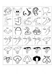 English Worksheet: Body parts 