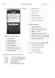 English Worksheet: simple present worksheet