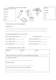 English worksheet: Vegetables