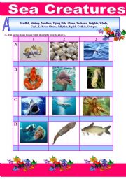English worksheet: Sea Creatures