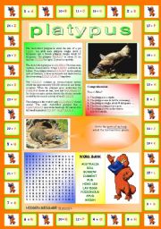 The Platypus (Multi-task worksheet): Encrypted reading + Comprehension exercise + Vocabulary exercise + Wordsearch (including a hidden message!)