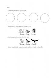 English Worksheet: Life Cycles and Food Chain Unit Test