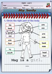 English Worksheet: My body