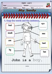 English Worksheet: My Body