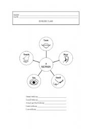 English Worksheet: The five senses