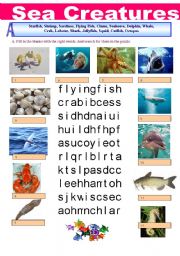 English Worksheet: Sea Creatures Wordsearch