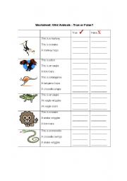 English Worksheet: What do Wild Animals Do? True/False
