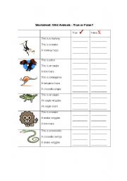 English Worksheet: What do Wild Animals Do? True/False