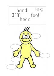 English Worksheet: body parts