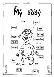 English Worksheet: My body 2