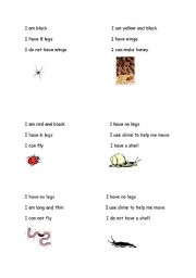 English worksheet: minibeasts cards