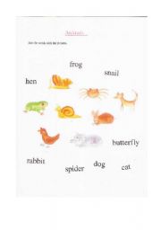 English worksheet: ANIMALS