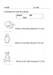 English Worksheet: Where do animals carry their babies?