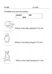 English worksheet: Where do animals carry their babies?