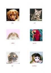 English Worksheet: animals