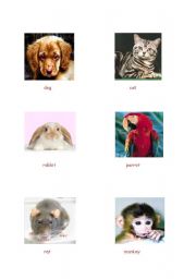 English worksheet: animals