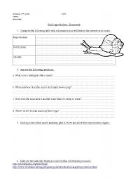 English worksheet: Science Homework - snail reproduction webquest