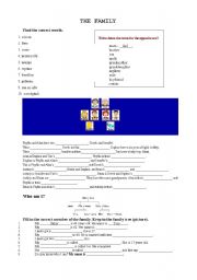 English worksheet: THE FAMILY