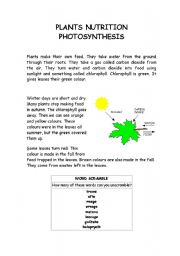 English Worksheet: PLANTS NUTRITION - PHOTOSYNTHESIS
