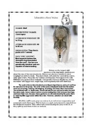 English Worksheet: Pre-Reading for Call of the Wild: Info. on Wolves