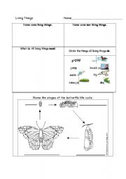 English Worksheet: Living Things