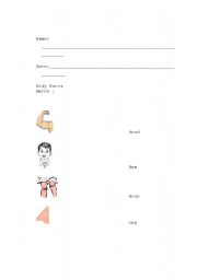 English Worksheet:  Body Part