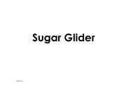 English Worksheet: Australian Flash cards
