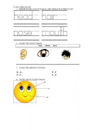 English Worksheet: THE FACE