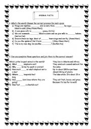 English Worksheet: Animal Facts