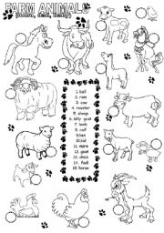 English Worksheet: farm animals