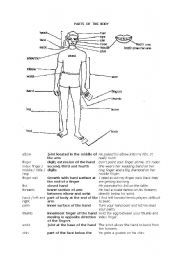 English Worksheet: Parts of the body