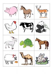 animals- memory game