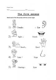 English Worksheet: Five Senses