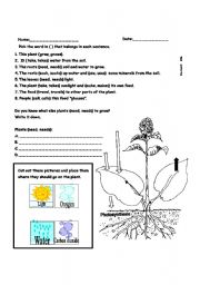 English Worksheet: Photosynthesis