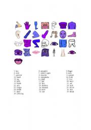 English Worksheet: Body Part