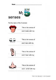 My senses 1st part