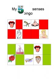 English Worksheet: My 5 senses bingo