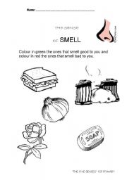 The smell sense