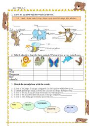 English Worksheet: ANIMALS 