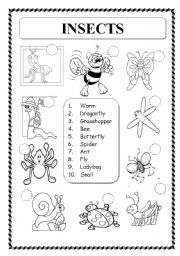 English Worksheet: ANIMALS: INSECTS