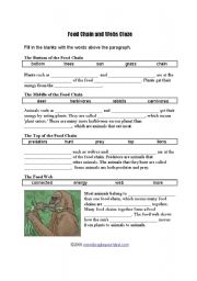 English Worksheet: food