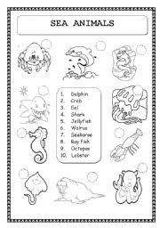 English Worksheet: ANIMALS: SEA ANIMALS