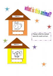 English worksheet: pets