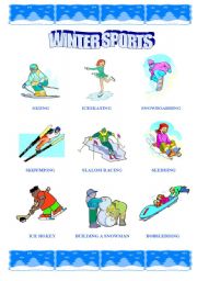 English Worksheet: Winter Sports