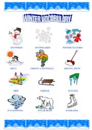 English Worksheet: WINTER VOCABULARY