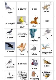 English Worksheet: Animals Birds Insects Bingo. or Flash cards