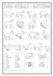 English Worksheet: FARM ANIMALS-MATCHING